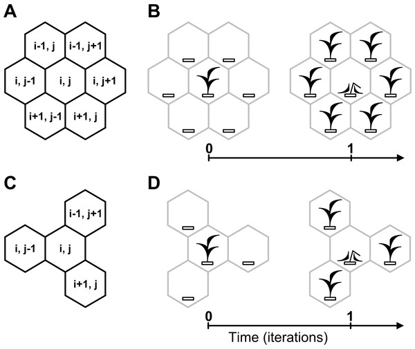 Multi Species And Single-Species Models Of Fish Population Dynamics Comparing Parameter Estimates