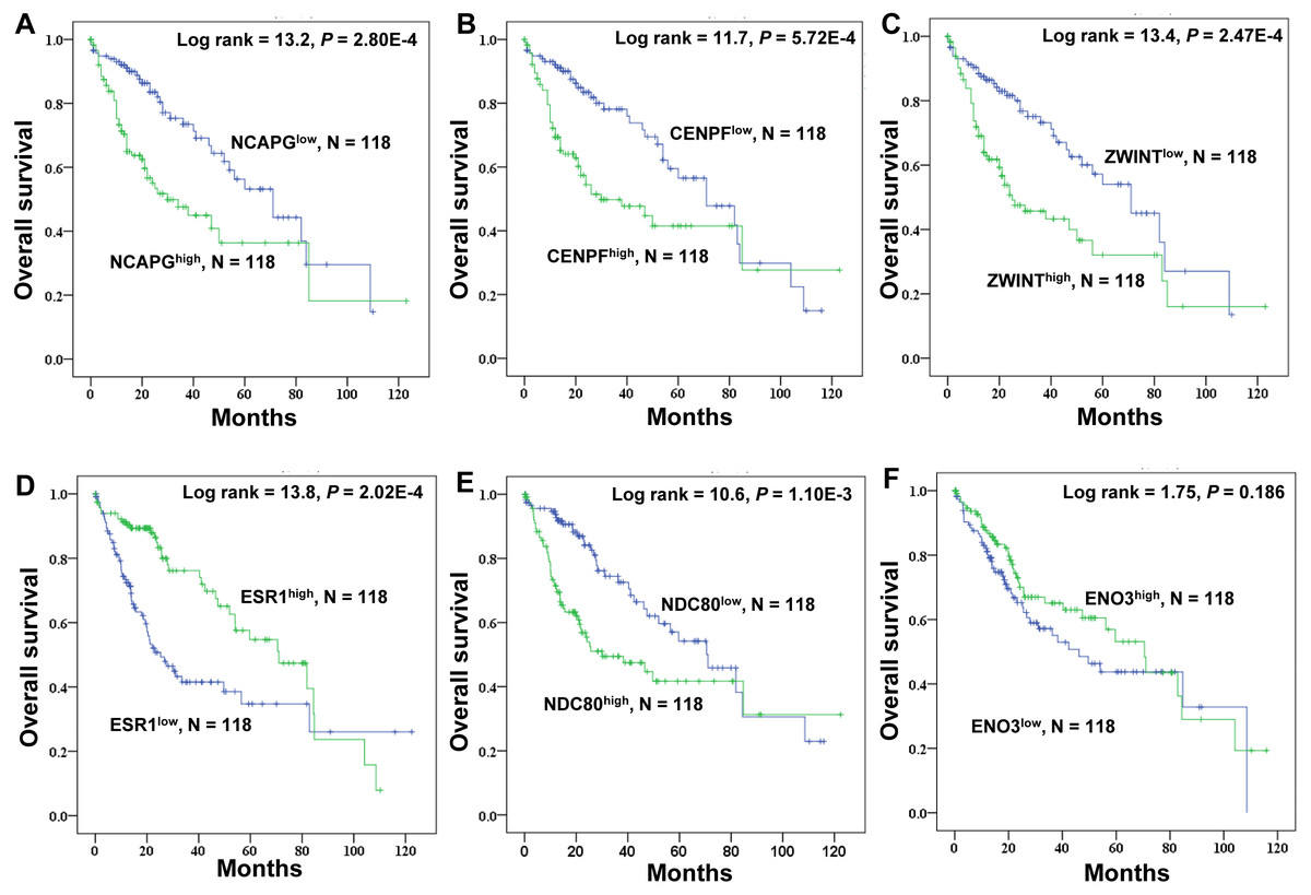 Identification Of Crucial Genes Based On Expression Profiles Of