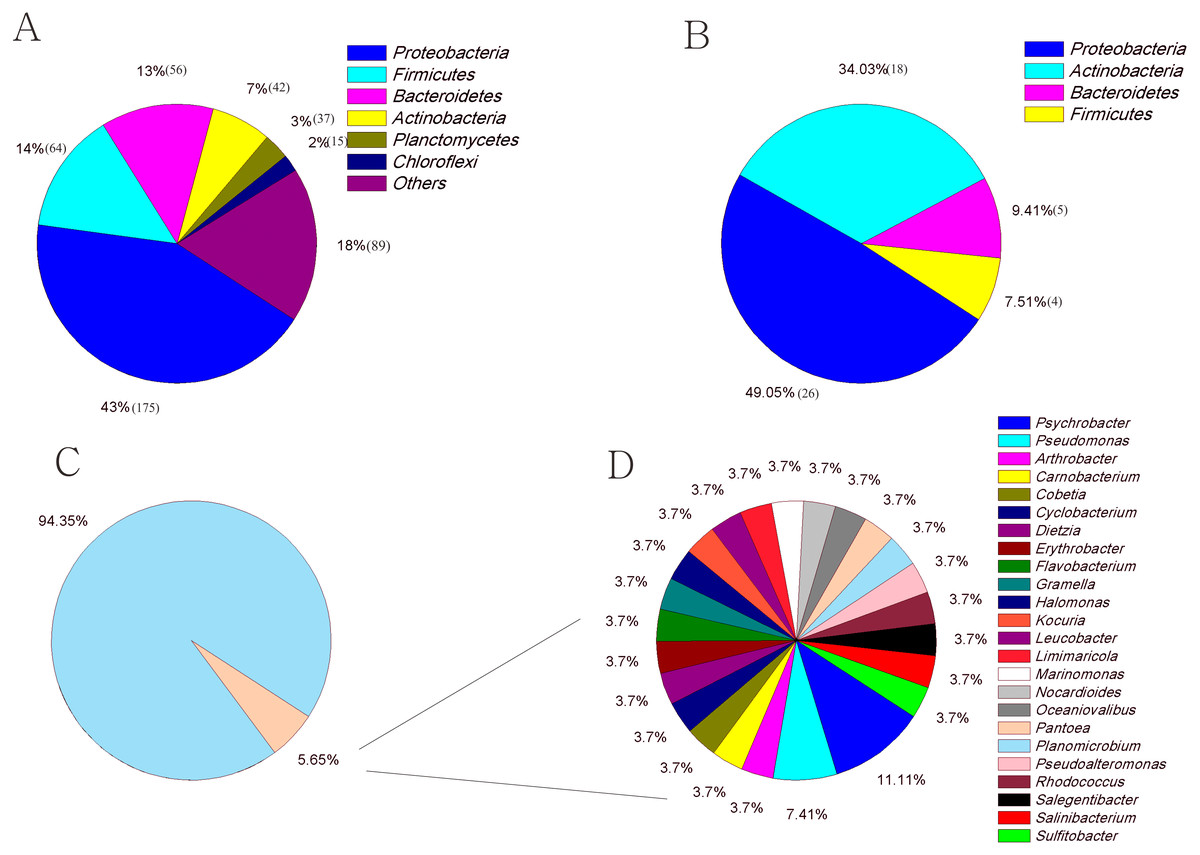 Comparison Of The Diversity Of Cultured And Total Bacterial Communities