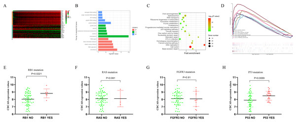 Knockdown Of Cdca Inhibits The Proliferation And Enhances The