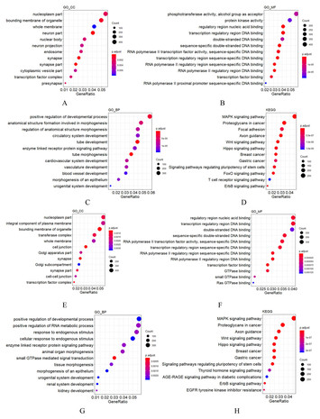 Analysis Of Conserved Mirnas In Cynomolgus Macaque Genome Using Small