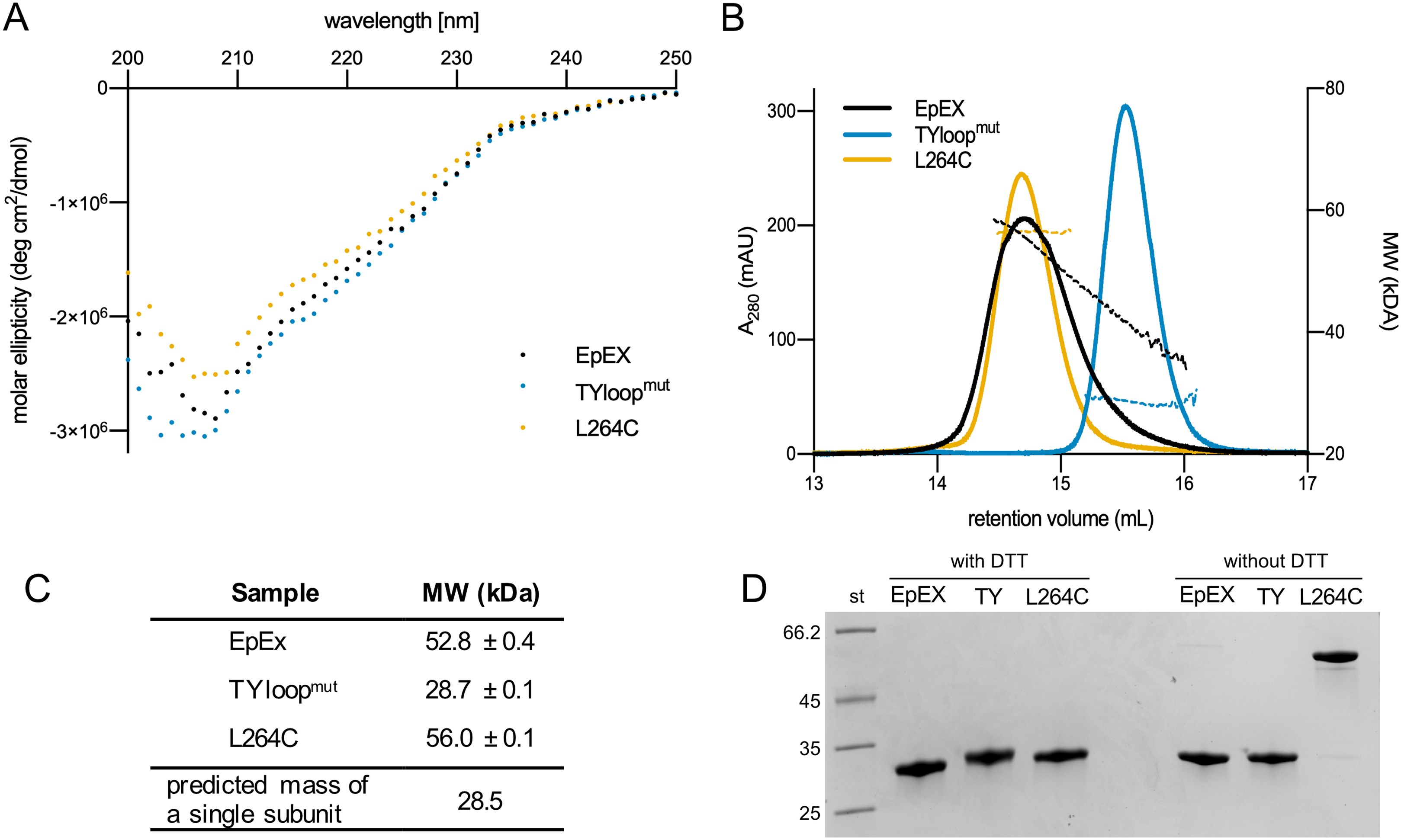 Destabilization Of Epcam Dimer Is Associated With Increased