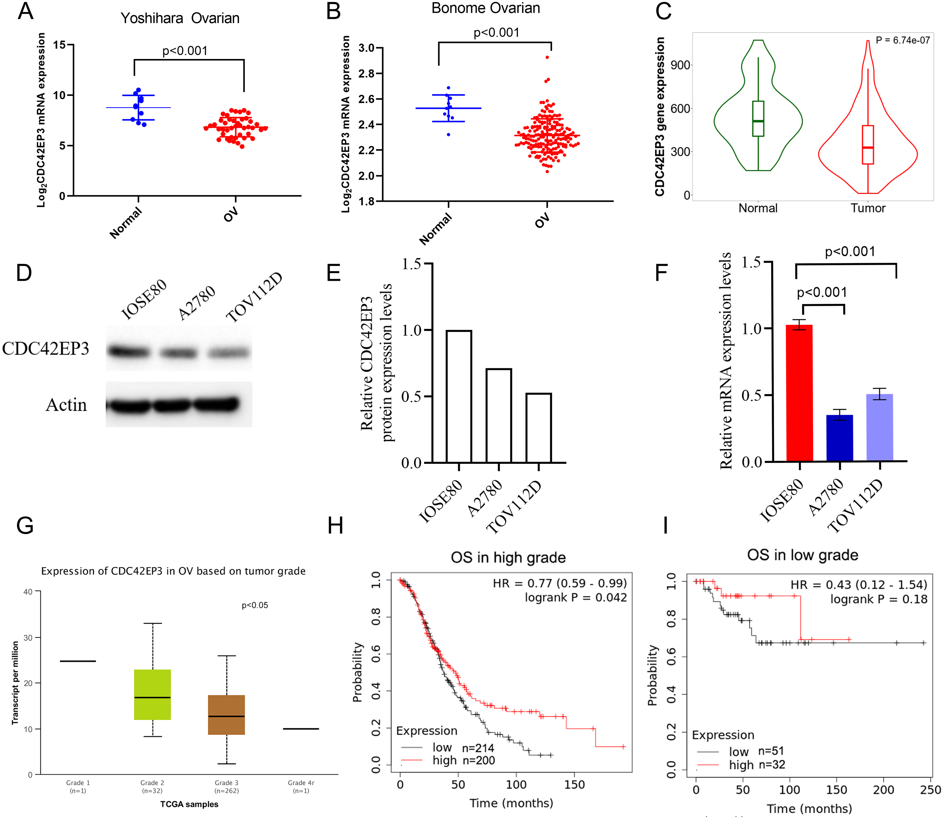 Integrative Bioinformatics And Experimental Analysis Revealed Down