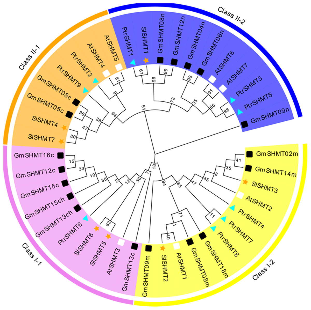 Genome Wide Identification And Expression Analysis Of Serine