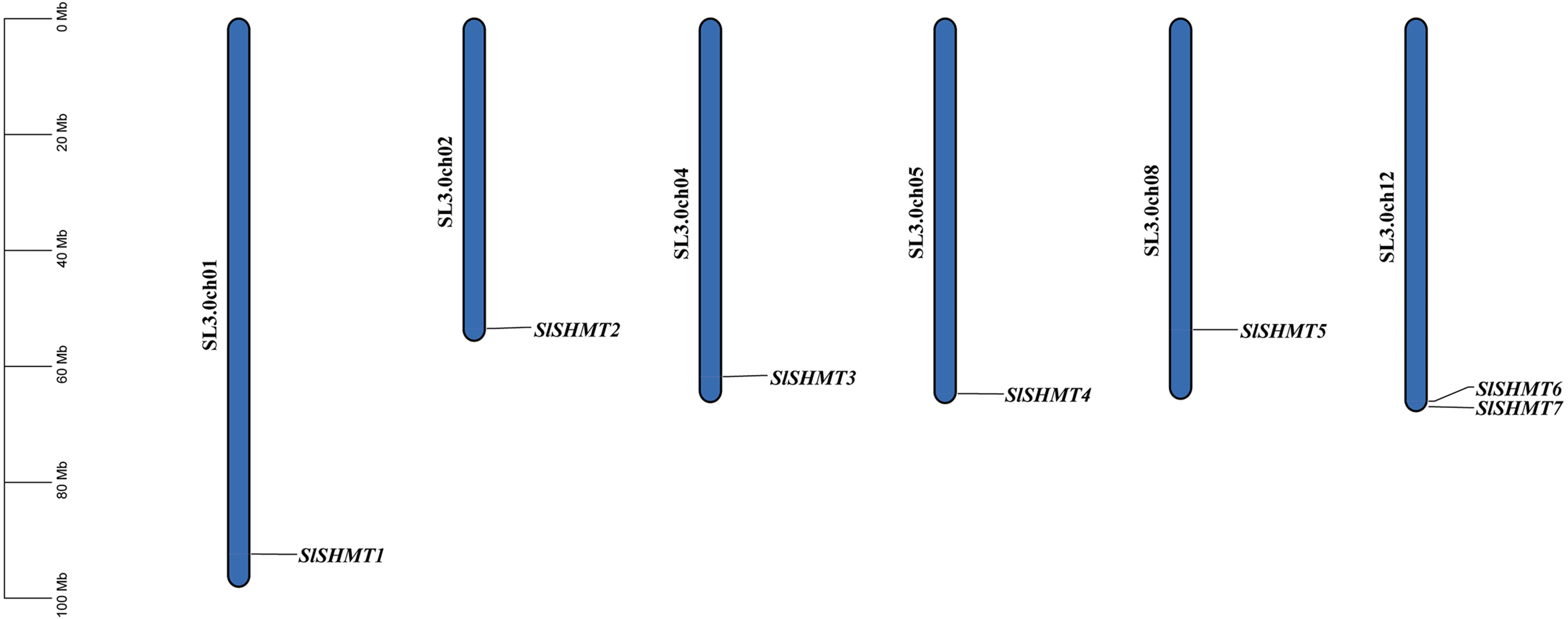 Genome Wide Identification And Expression Analysis Of Serine