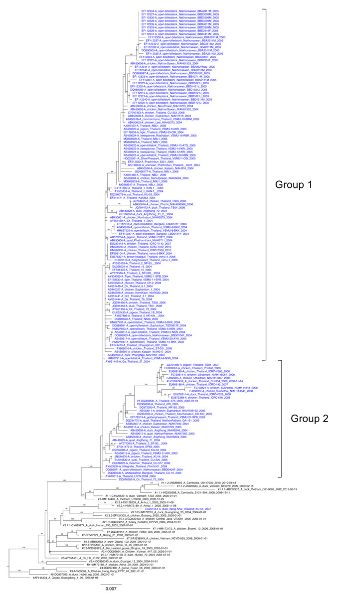 Genetic Evolution Of Hemagglutinin And Neuraminidase Genes Of H N