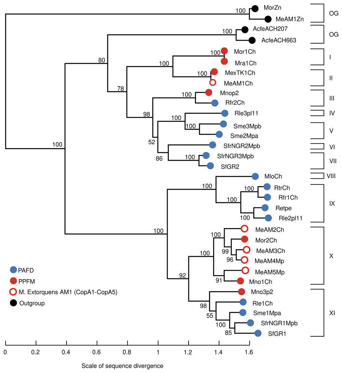 Five Copper Homeostasis Gene Clusters Encode The Cu Efflux Resistome Of