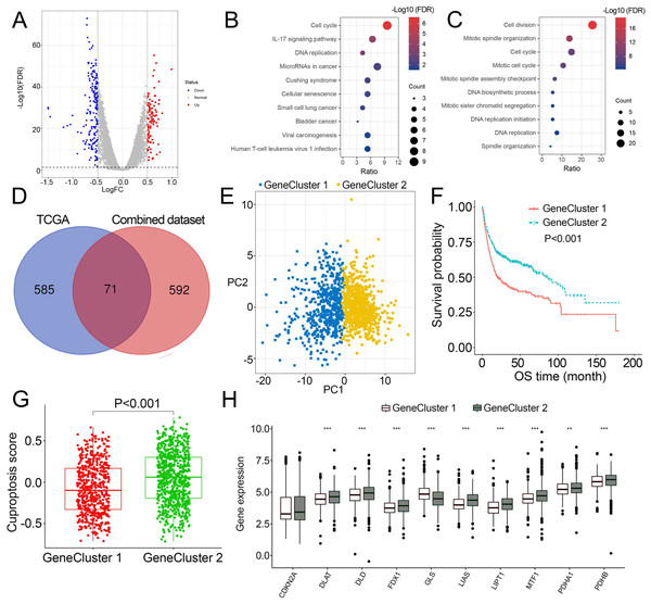 Molecular Subtypes Tumor Microenvironment Infiltration