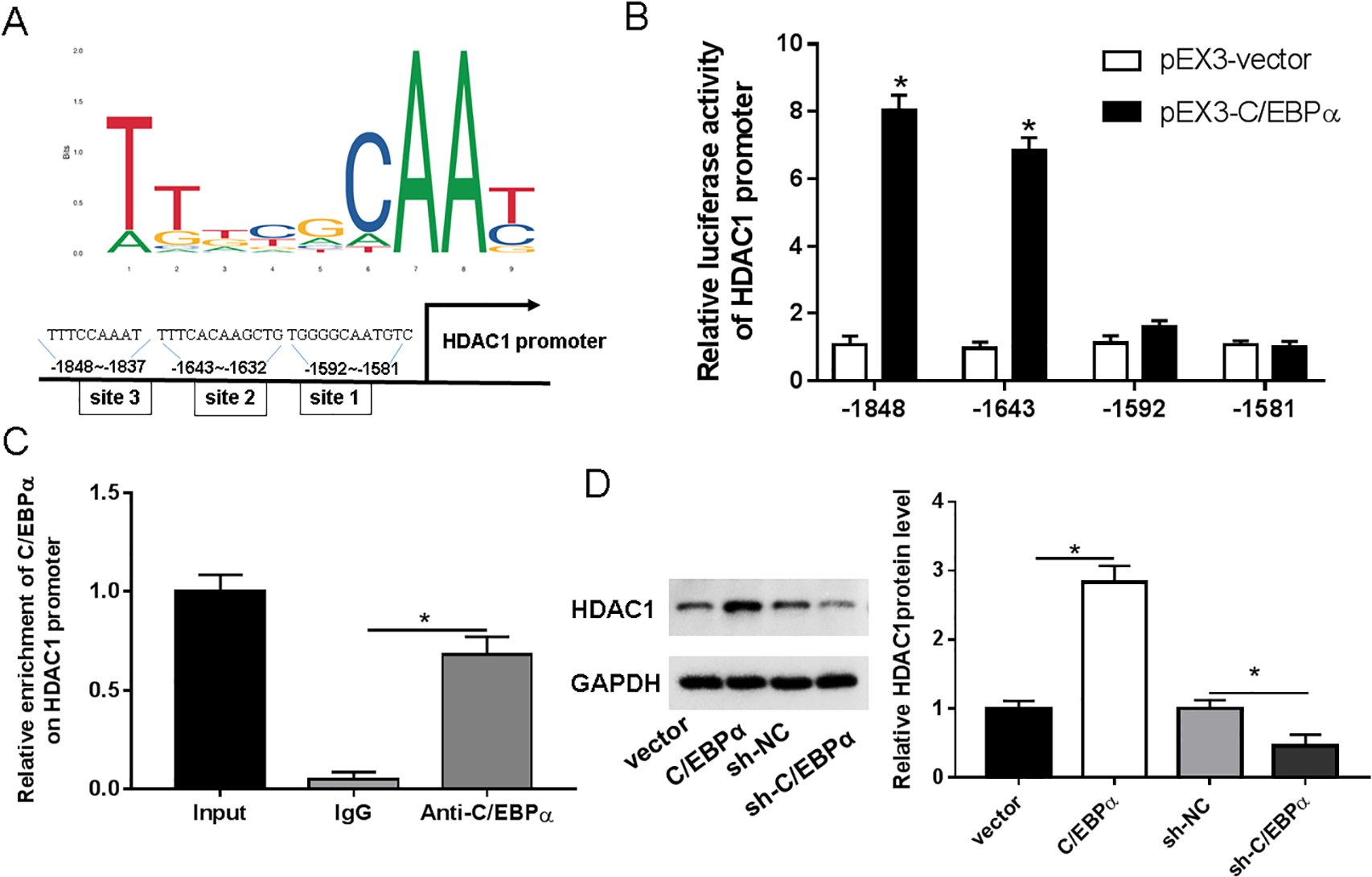 C Ebp Involvement In Microglial Polarization Via Hdac Stat Pathway