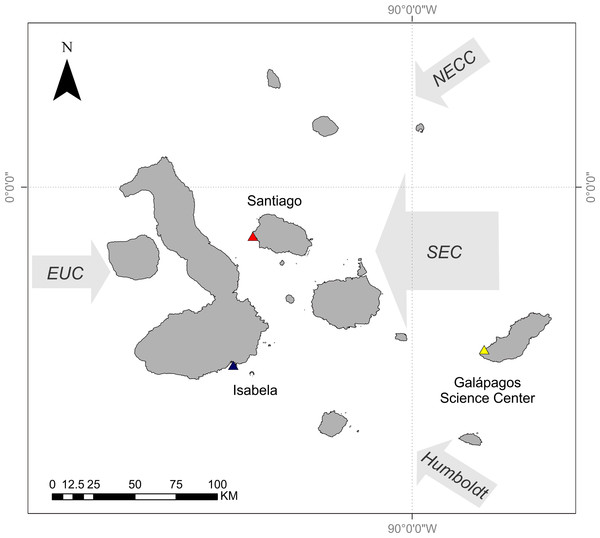 Map of Galápagos Archipelago and the surrounding currents.