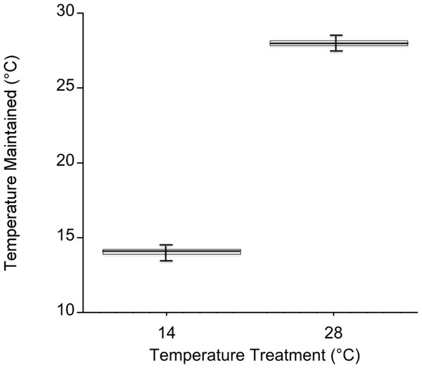Mesocosm temperature values during both experiments.
