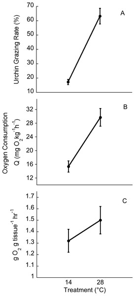 Temperature effects on urchin grazing rates, metabolism and algal photosynthesis.