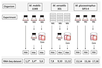 accompanying article image