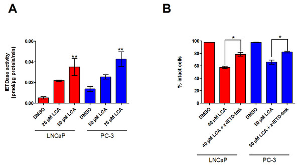 LCA activates the extrinsic pathway of apoptosis in androgen-dependent and -independent prostate cancer cells.