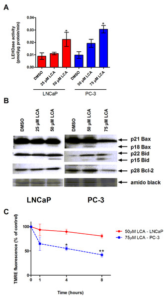 LCA activates the intrinsic pathway of apoptosis in androgen-dependent and -independent prostate cancer cells.