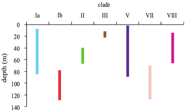 Depth distributions of major clades of the genera Leptoseris and Pavona in Hawaiʻi.