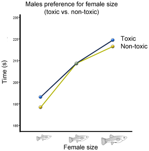 Male preference for female size (toxic vs. non-toxic).