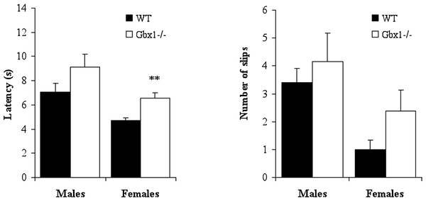 Effects of Gbx1 mutation on the latency and number of slips in the beam walking test.