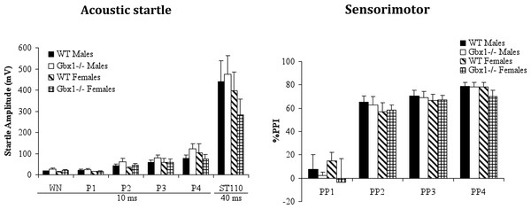 Startle reactivity and pre-pulse inhibition in wild-type (WT) and Gbx1−/− mice.