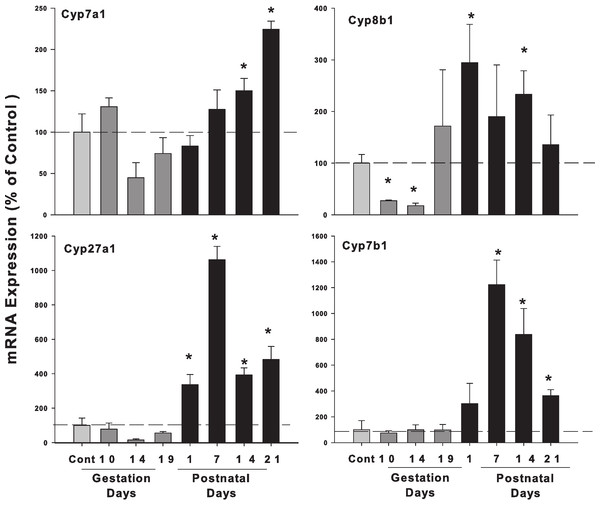 Hepatic mRNA expression of bile acid synthetic pathway genes in pregnant and lactating rats.