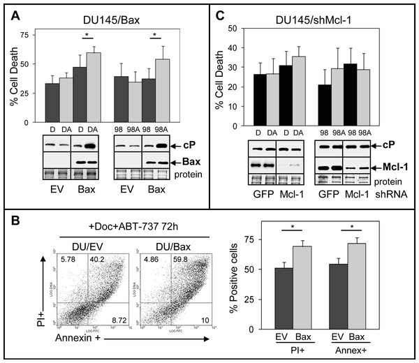 DU145 cells are resistant to ABT-737 because they are Bax null.