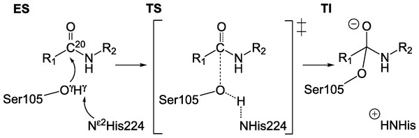 Reaction scheme for the formation of TI.