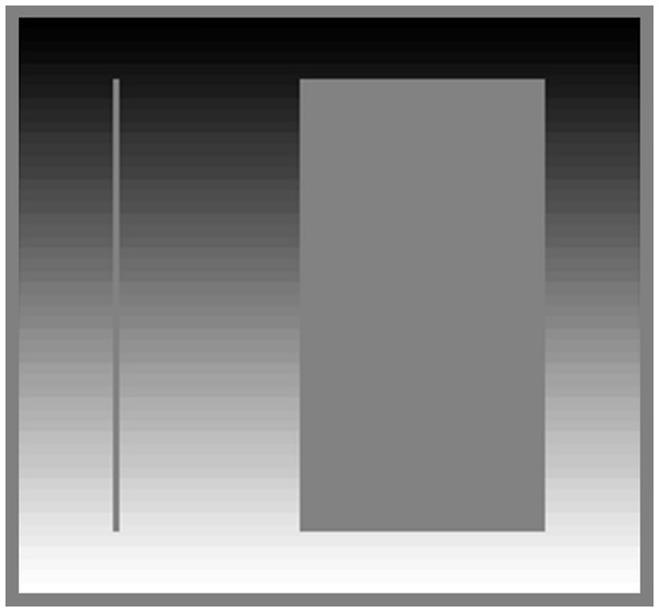 Effect of stimulus width on simultaneous contrast.
