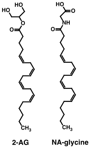 Chemical structure of NA-glycine and 2-AG.