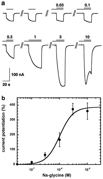 Concentration-dependent potentiation of currents mediated by recombinant α1β2γ2GABAA receptors.