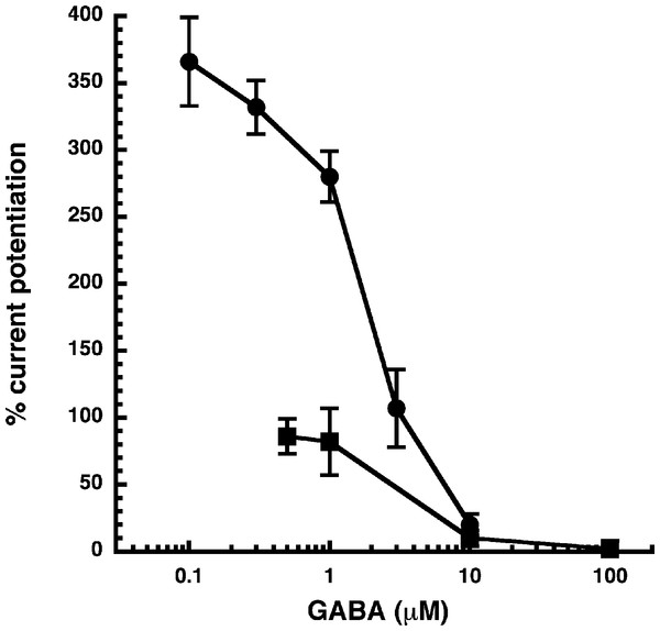 Influence of the GABA concentration.