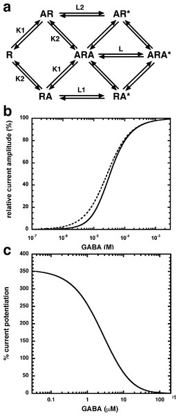 Mode of action of NA-glycine.