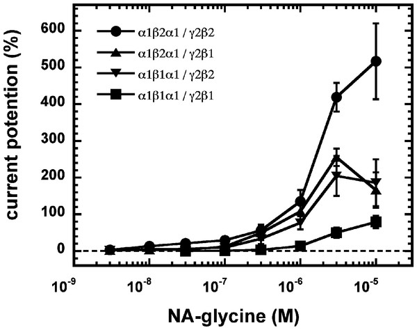 Concentration-dependent potentiation of currents mediated by concatenated GABAA receptors.