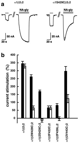 Effect of point mutations that reduced potentiation by 2-AG on the potentiation of NA-glycine.