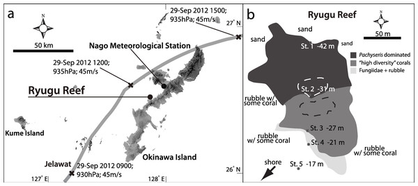 Map of Typhoon track and study stations.