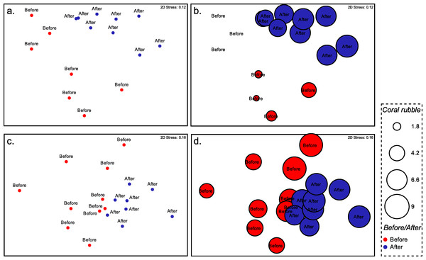 Non-metric dimensional scaling of the benthic communities at Ryugu Reef.