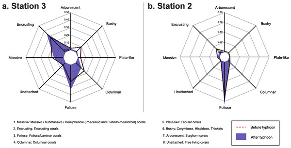 Functional composition of the coral assemblage before and after Typhoon 17 at Ryugu Reef.