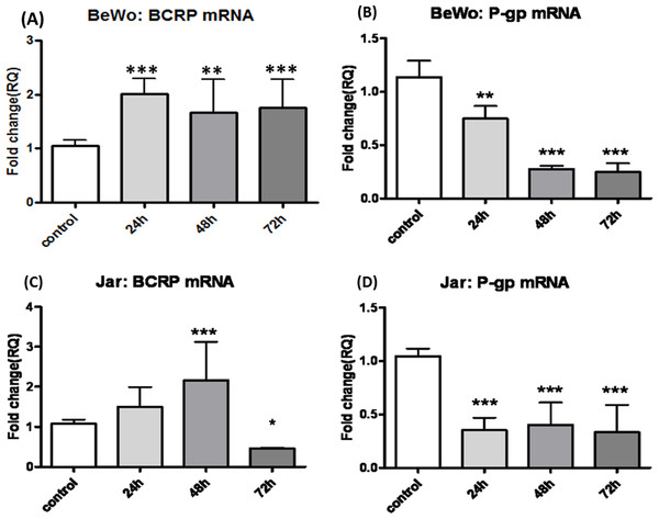 Long-term exposure of BeWo and Jar cells to CBD: changes in BCRP and P-gp mRNA levels.