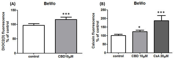 Inhibition of P-gp by CBD 10 µM in BeWo cells.