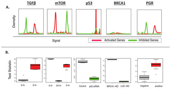 BD-Func recovers known MSigDB signatures.