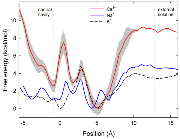 Single ion potential of mean force.