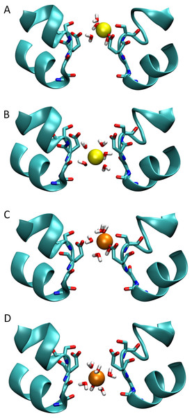 Snapshots of ions in the channel.