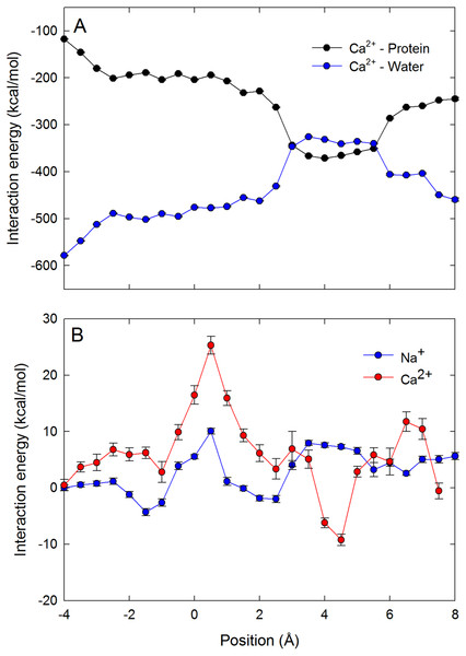 Interaction energies of the ions with water and protein when in the channel.