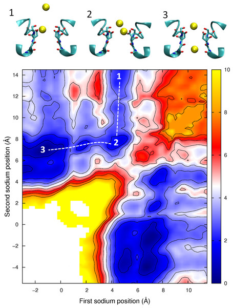 Potential of mean force for two sodium ions in the channel.