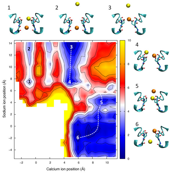 Potential of mean force for one calcium and one sodium ion in the channel.