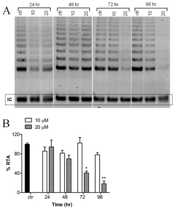 The β-carboline alkaloid harmine inhibits telomerase activity of MCF-7 ...