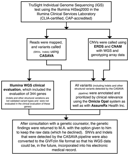 Implementation of the analytic-interpretive split model for the clinical incorporation of a whole genome.