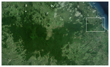 accompanying article image