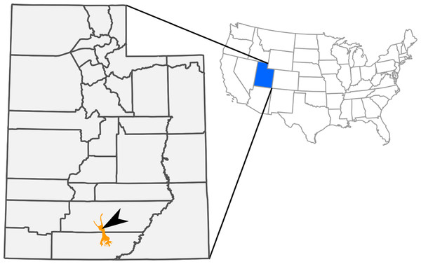 Outcrops of Kaiparowits Formation (orange) within the state of Utah, USA.