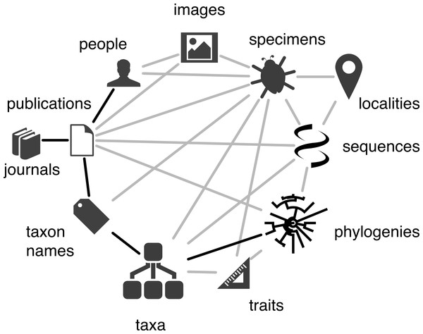 Taxonomy data model.