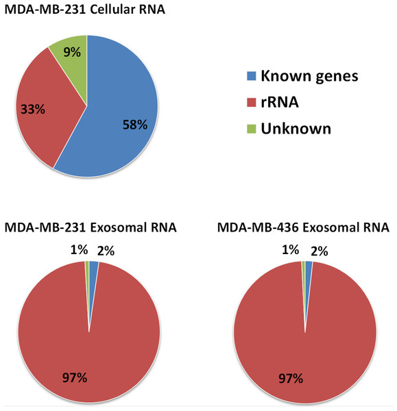 Distribution of uniquely mapped RNA-seq reads among transcriptome.